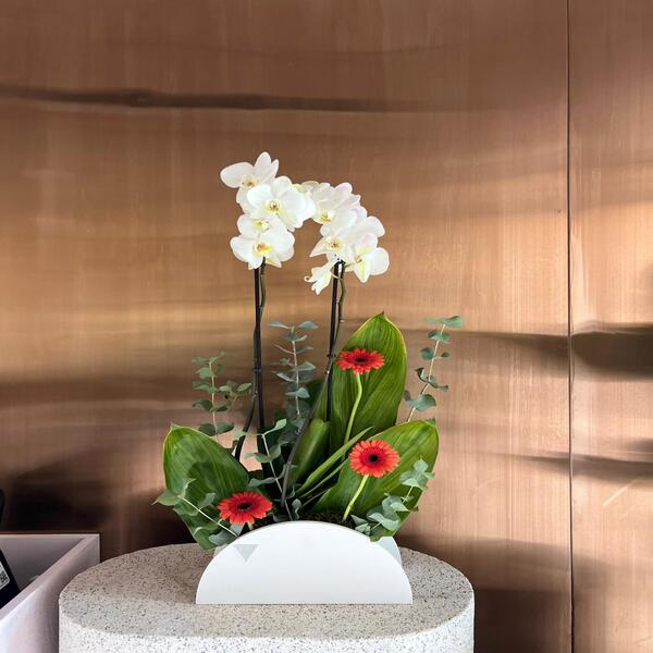 6dfef711_WhatsApp Image 2026-03-29 at 12.47.07 PM-copy-0.jpeg